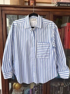 AYR The Deep End Button Down Blue/White Size S